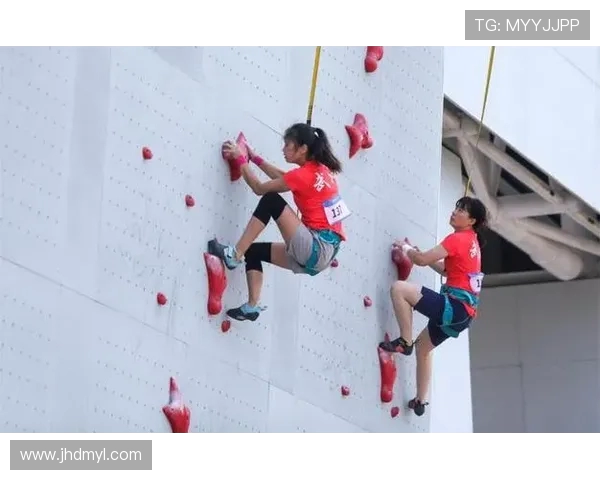 武汉攀岩队实力强劲荣登全国攀岩实力排行榜第二名