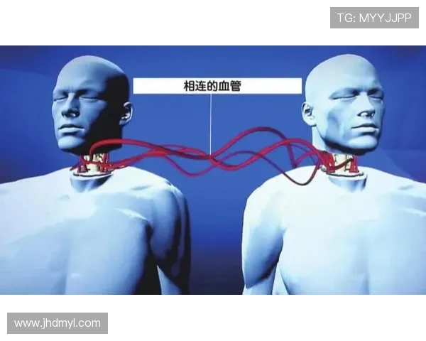 英雄联盟战队WE运营策略全解析揭秘团队成功背后的秘密与挑战