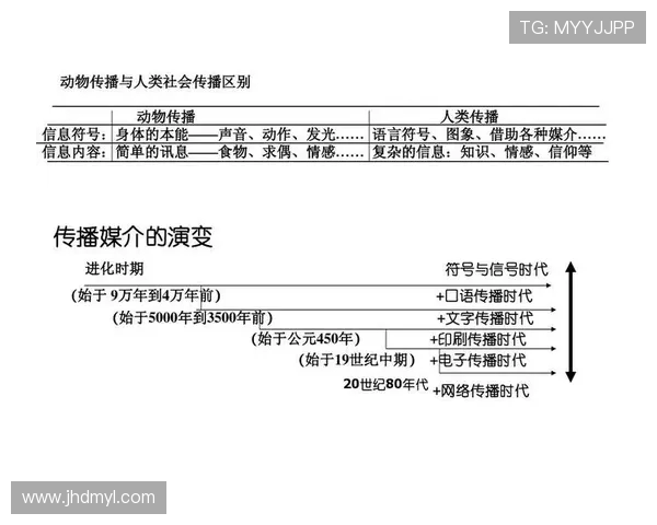 重庆排球队的精神风貌与发展历程深度解析