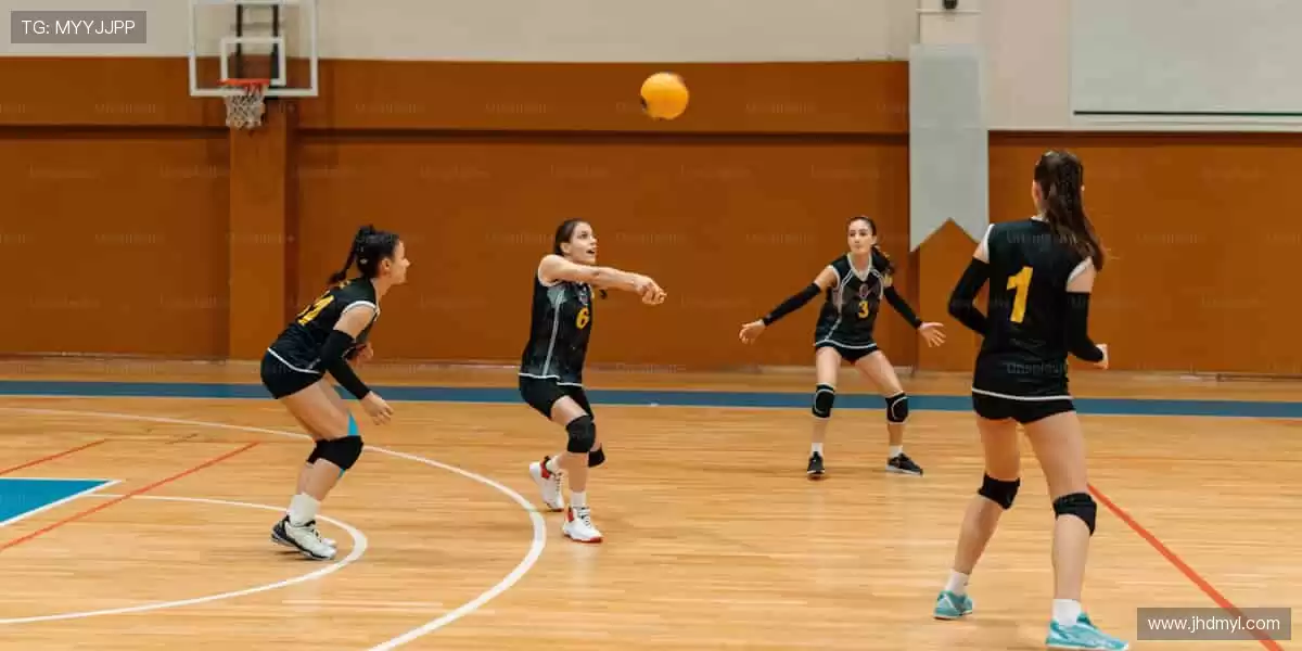 装备你的热爱，从专业到个性，应有尽有！🛒💪